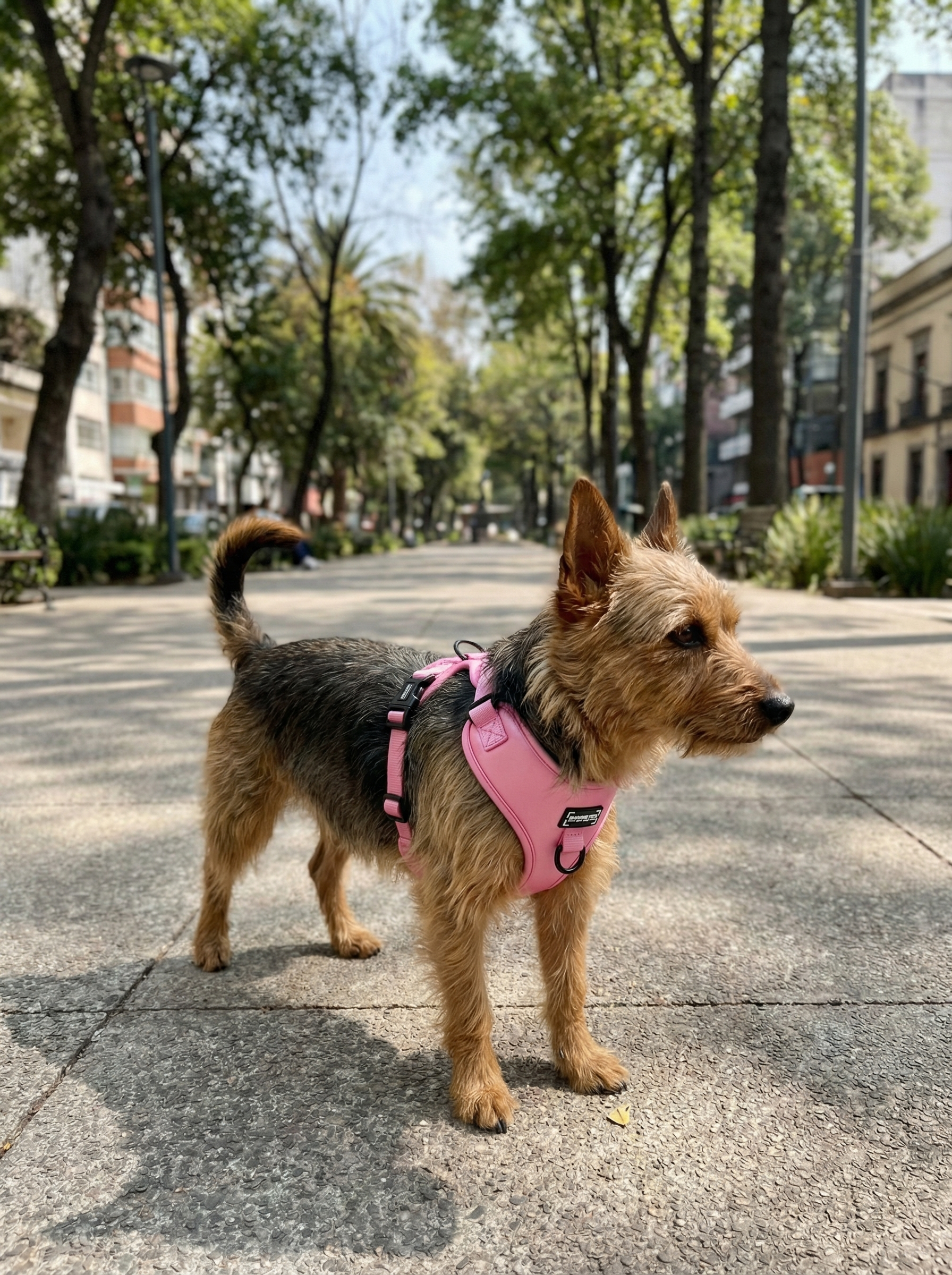 Adjustable Silk Harness Pink