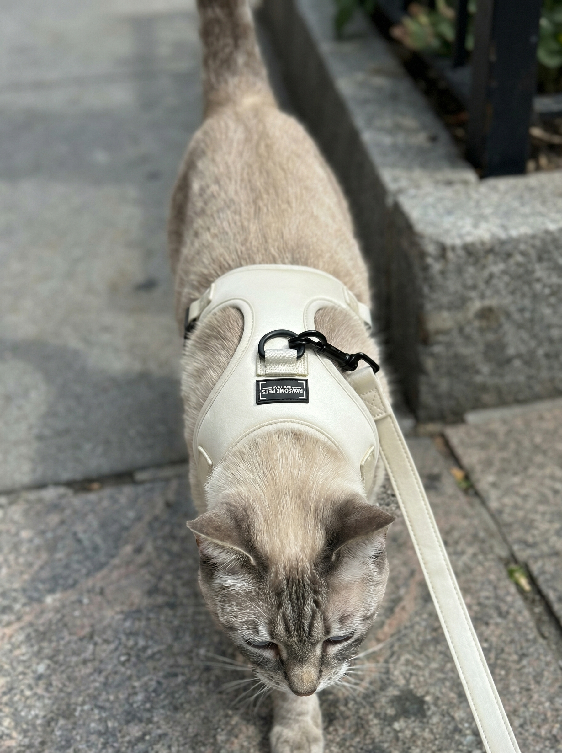 Adjustable Silk Harness White