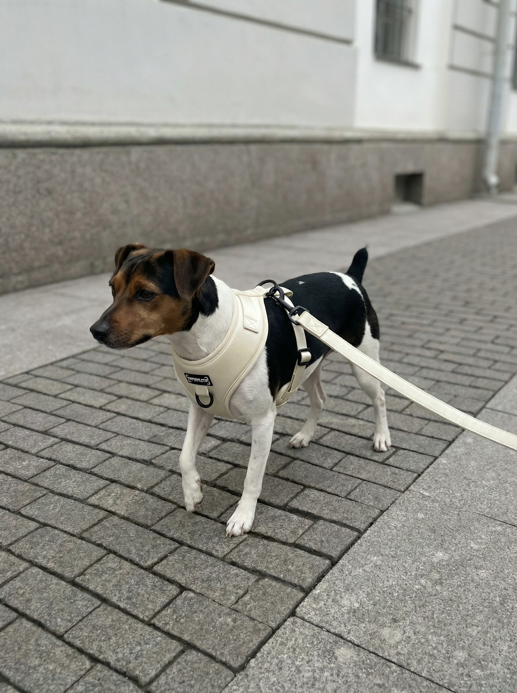 Adjustable Silk Harness White