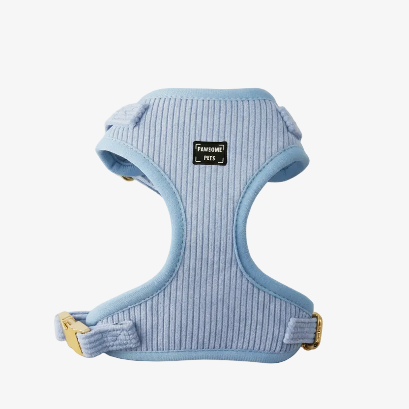 Adjustable Harness Sky Blue