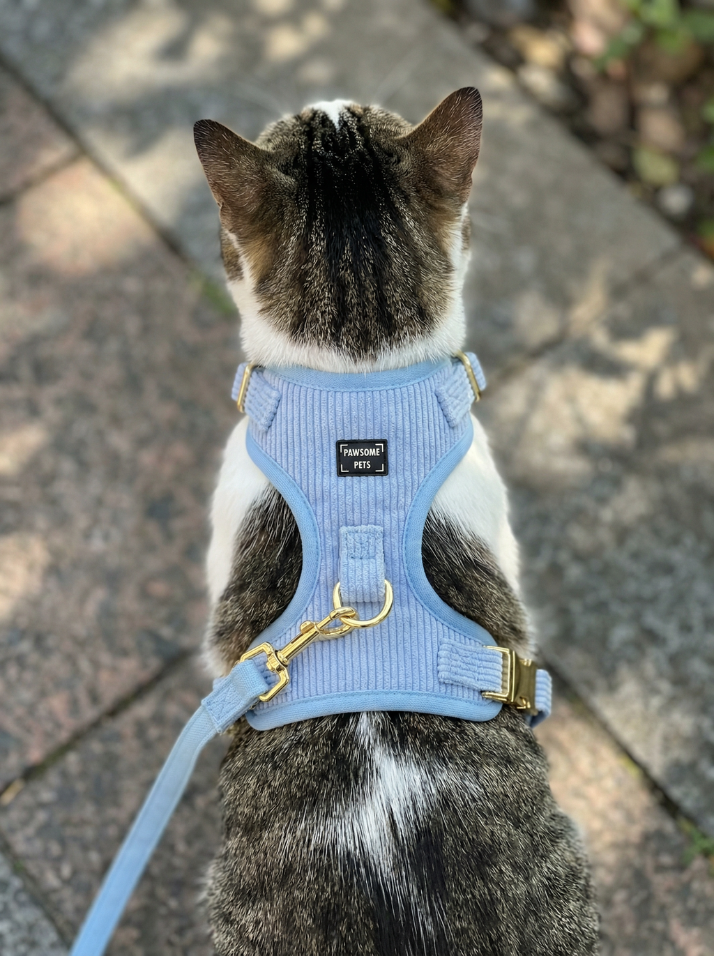 Adjustable Harness Sky Blue
