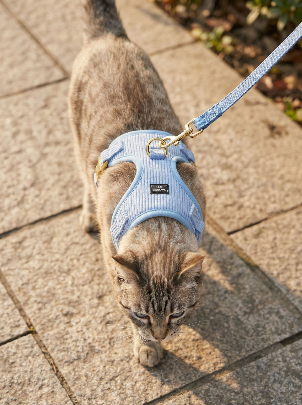 Adjustable Harness Sky Blue
