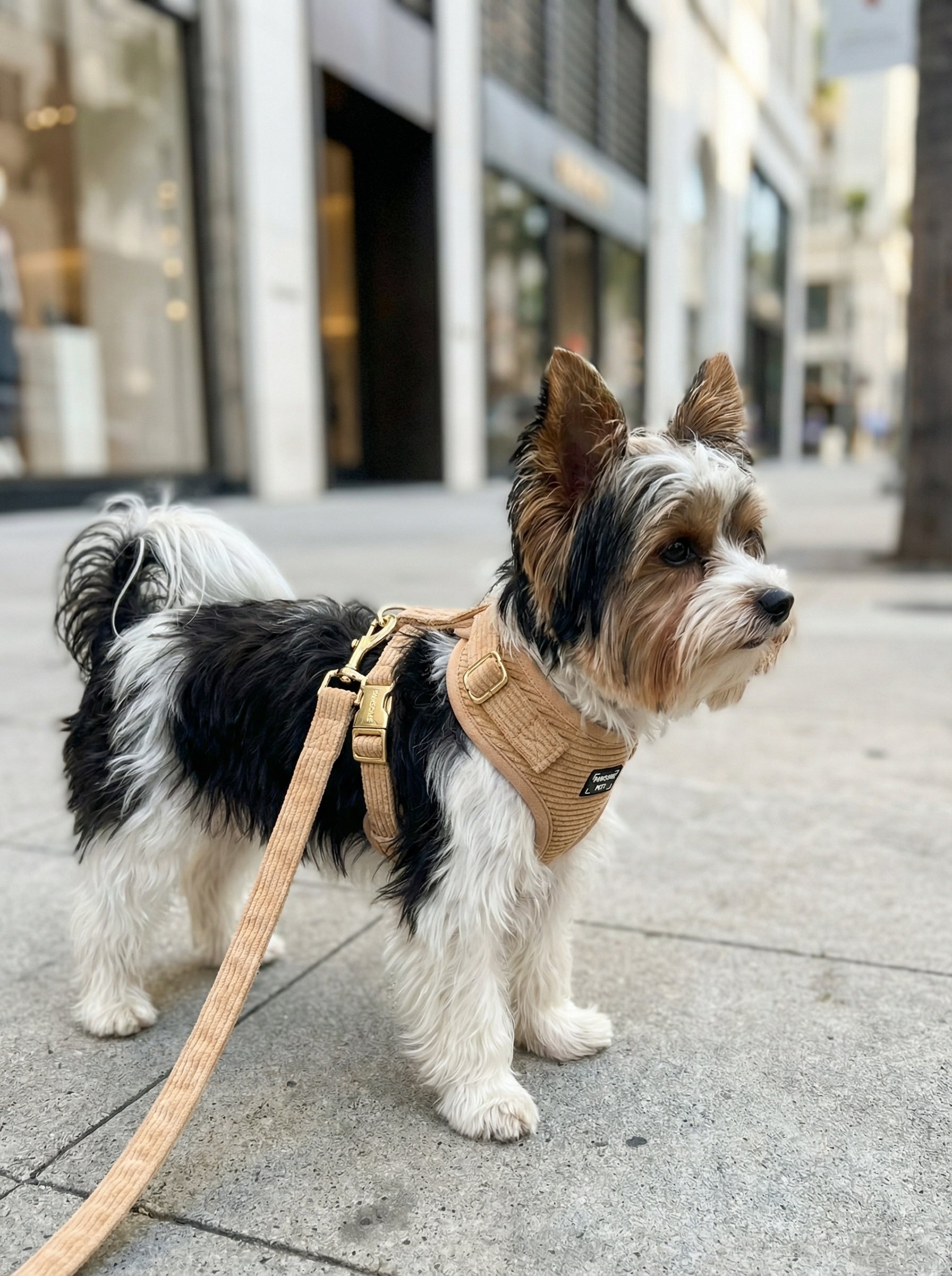 Adjustable Harness Khaki