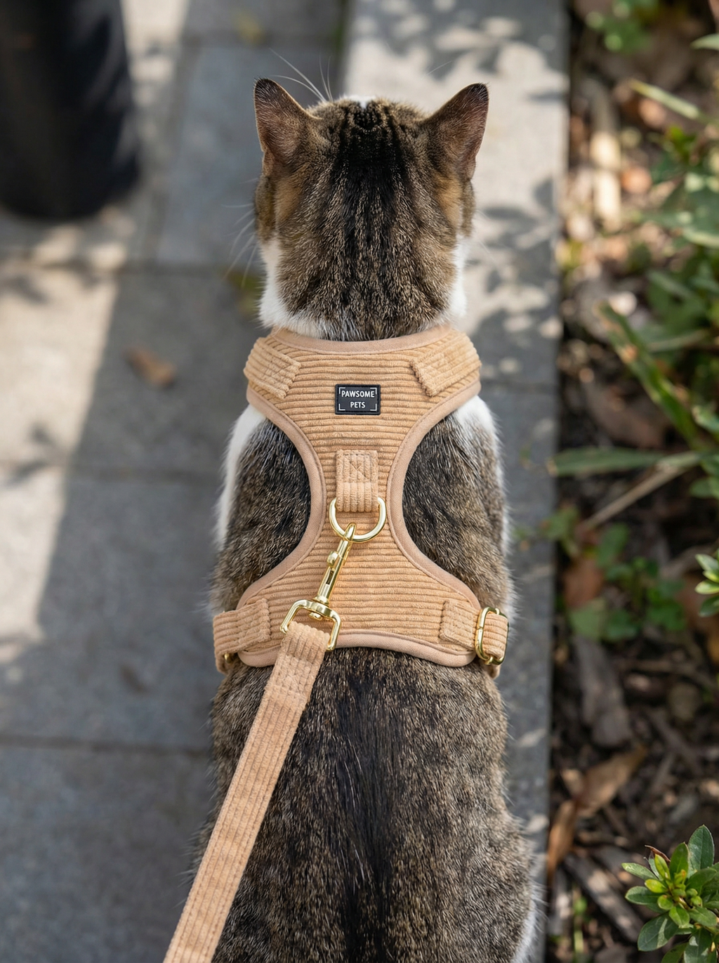 Adjustable Harness Khaki