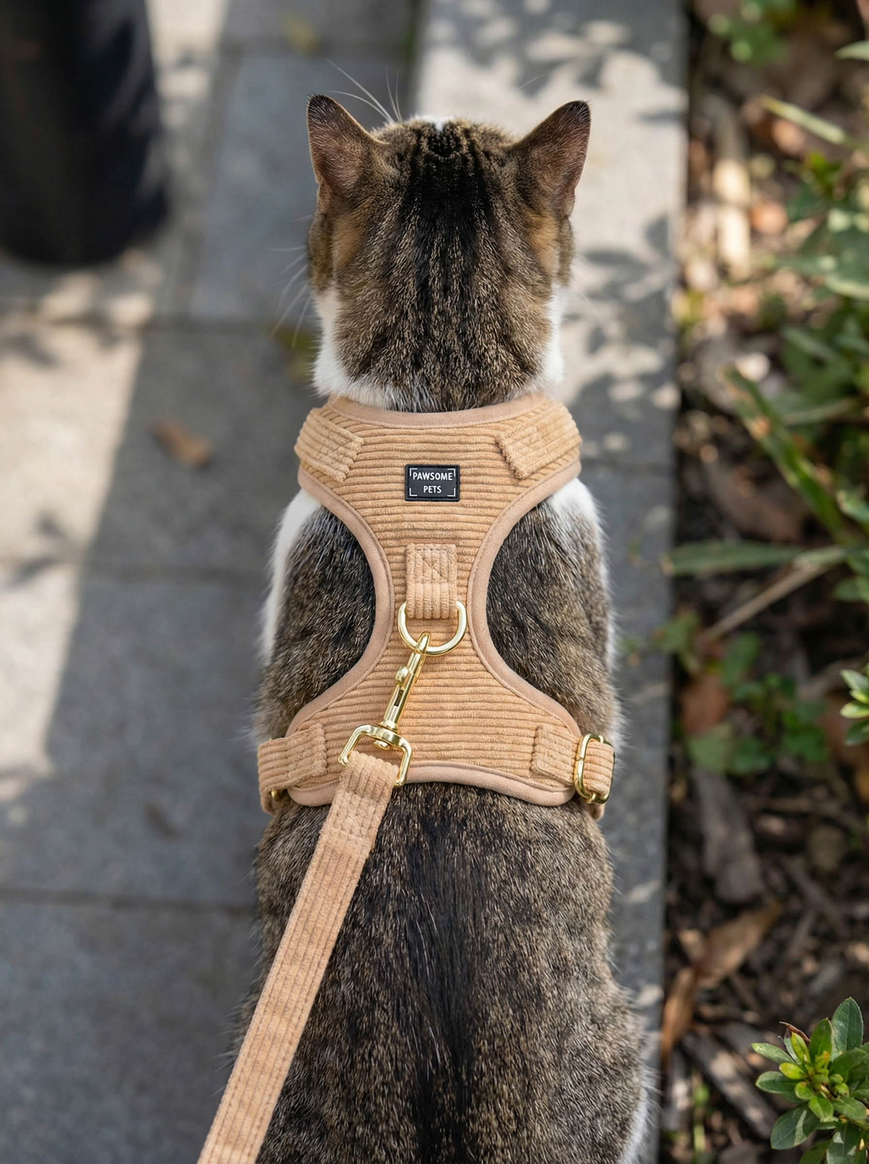 Adjustable Harness Khaki