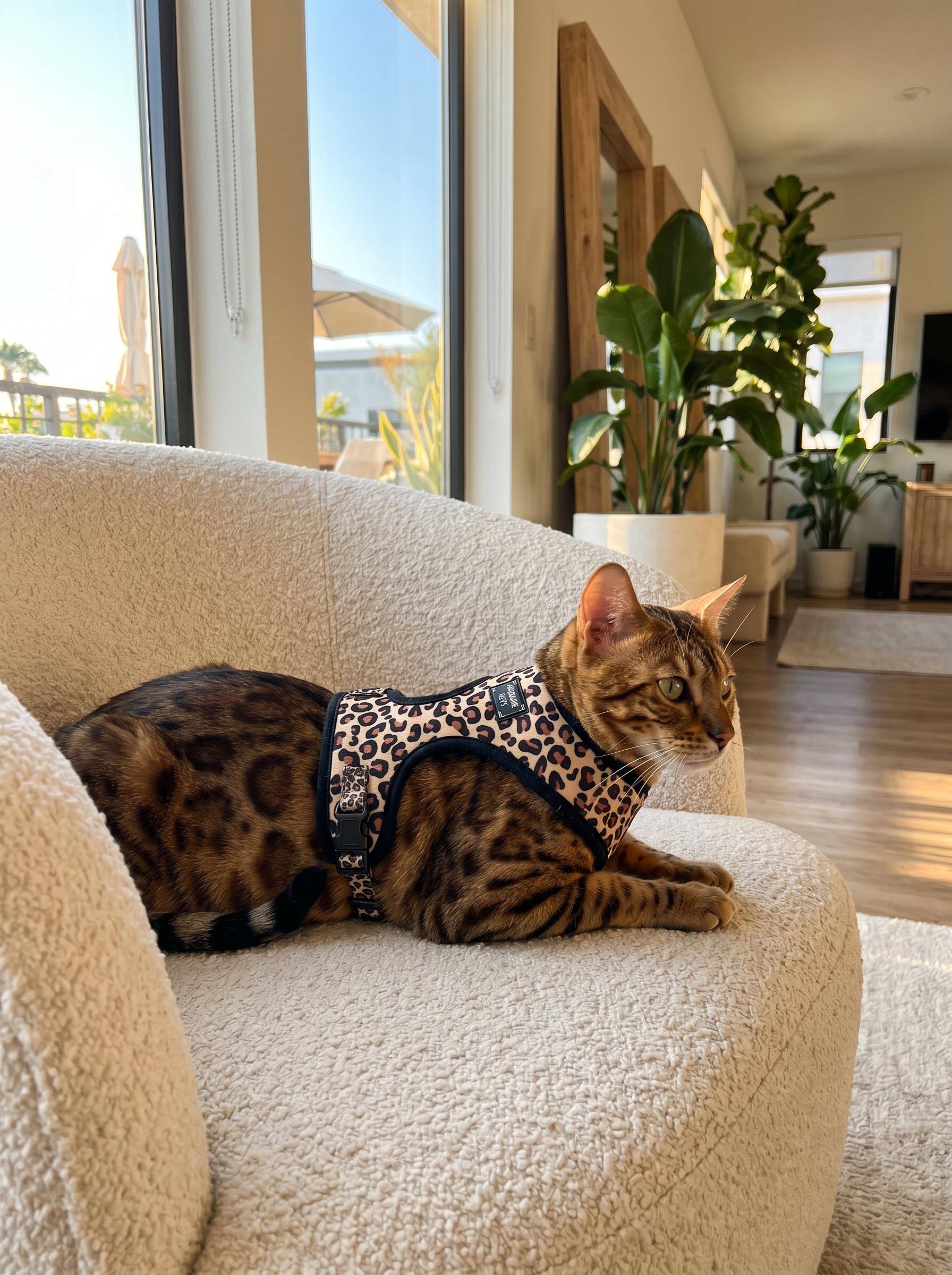 ADJUSTABLE HARNESS - LEOPARD