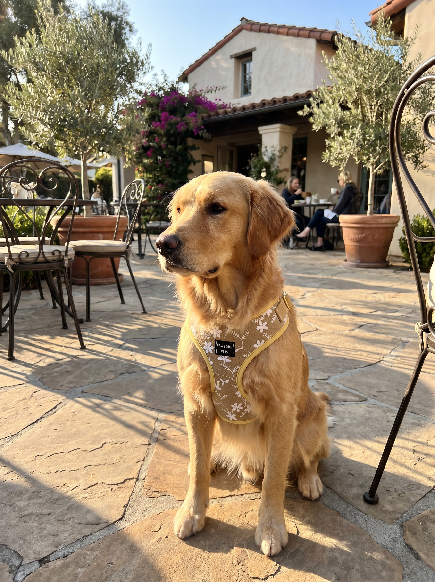 Adjustable Harness - Golden Floral