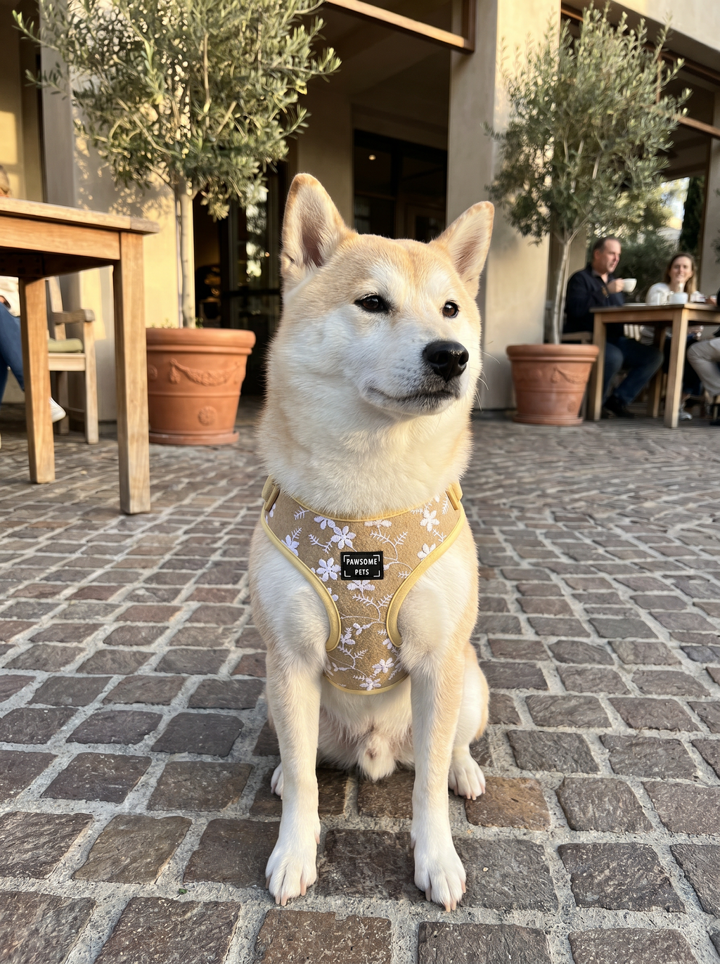 Adjustable Harness - Golden Floral
