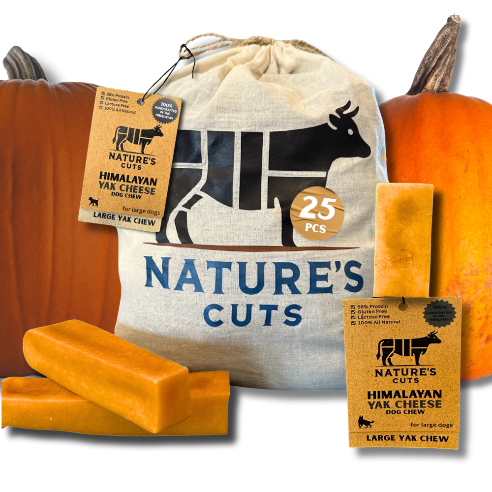 Large Pumpkin Flavored Yak Cheese w/ Tag-5