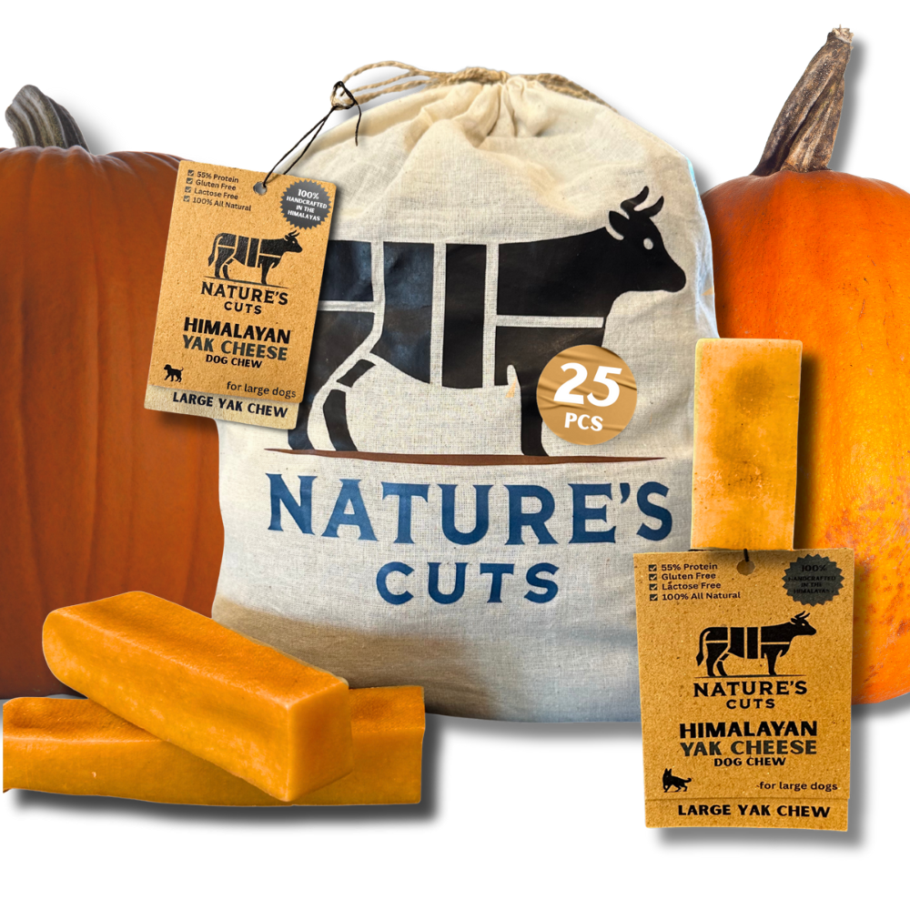 Large Pumpkin Flavored Yak Cheese w/ Tag-0