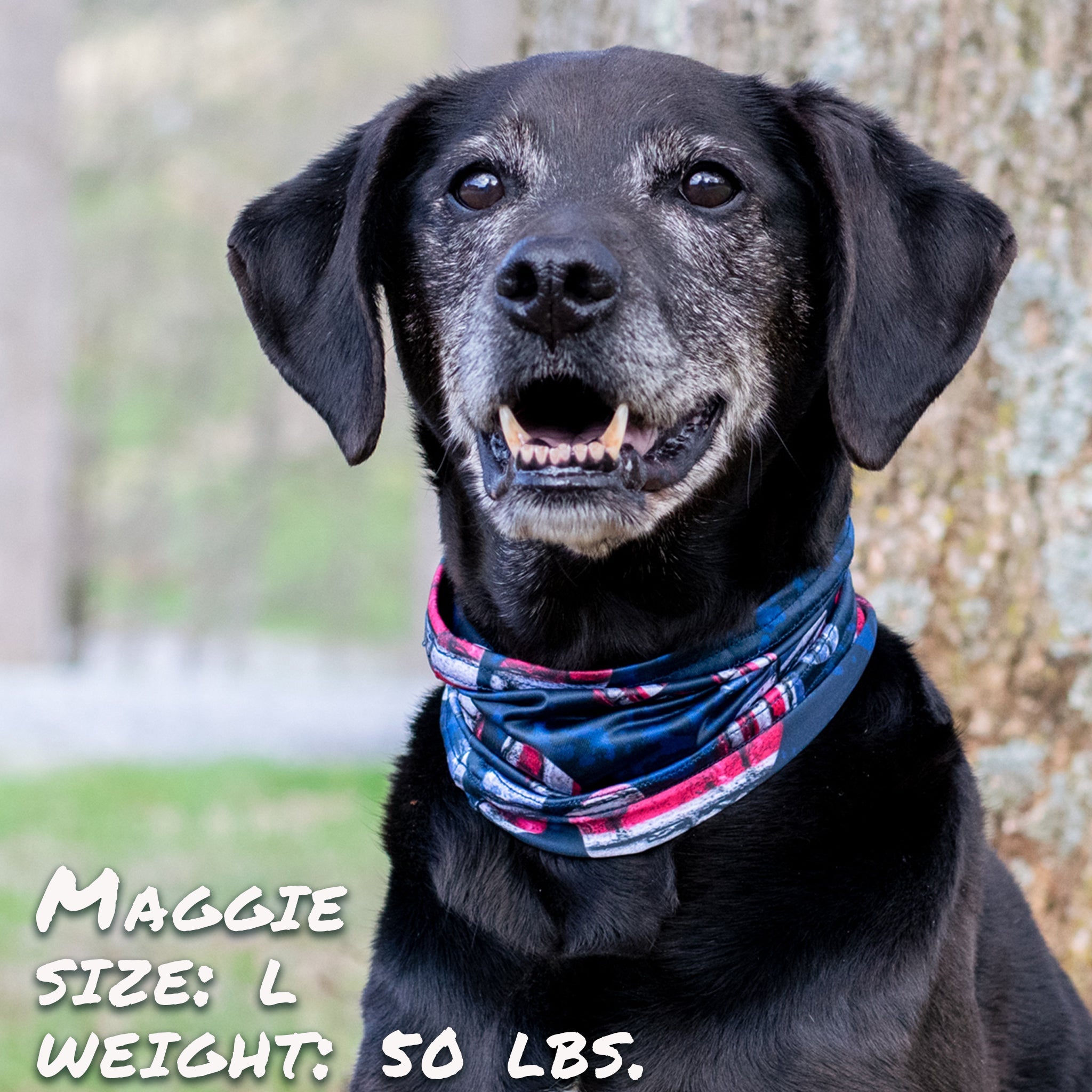 Patriotic Pup Pup Scruff-0