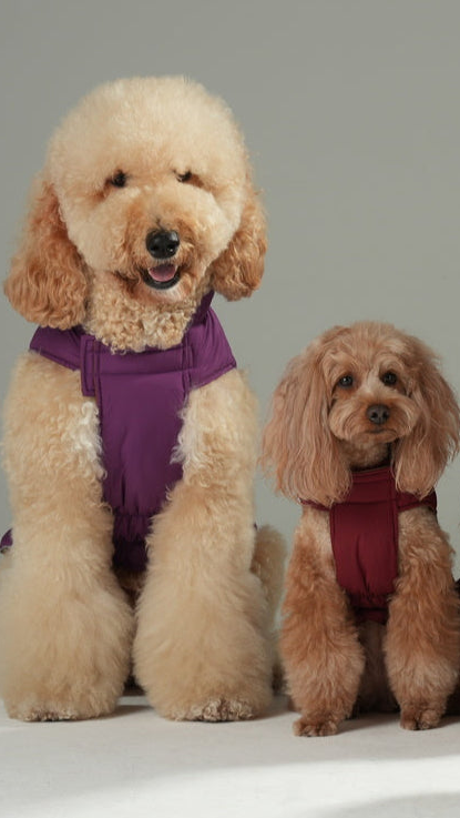 The Reversible Vest Jacket – Purple & Caramel