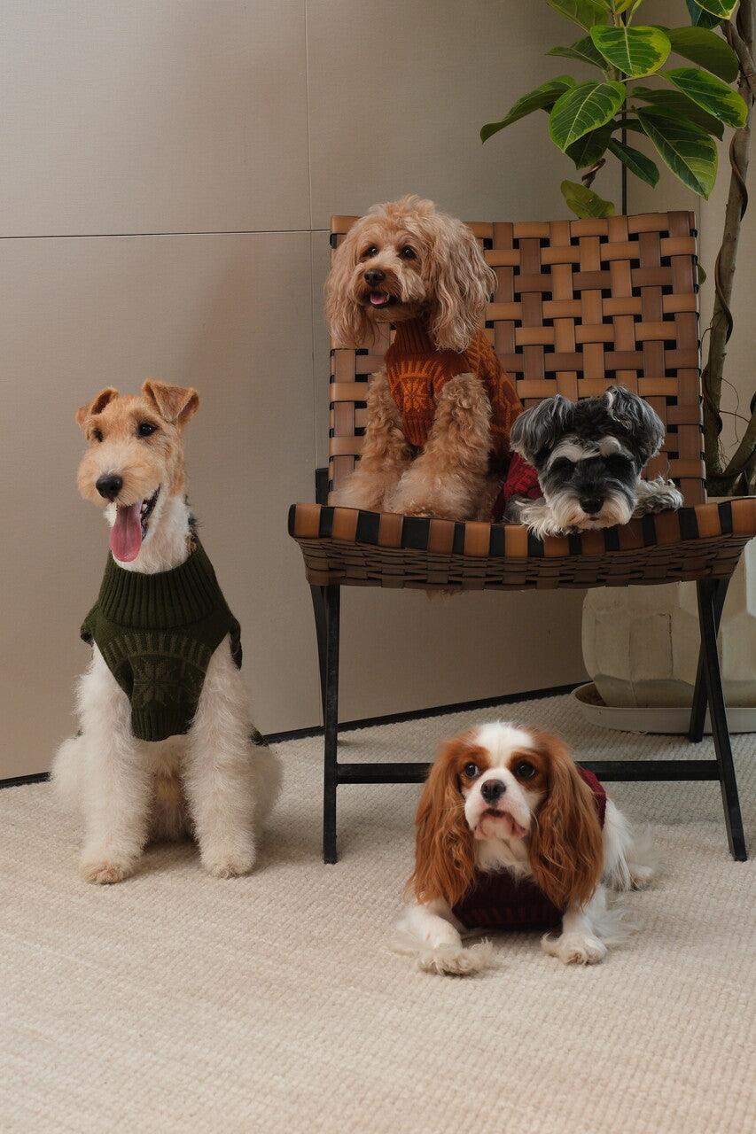 The Pretzel Sweater – Olive Green