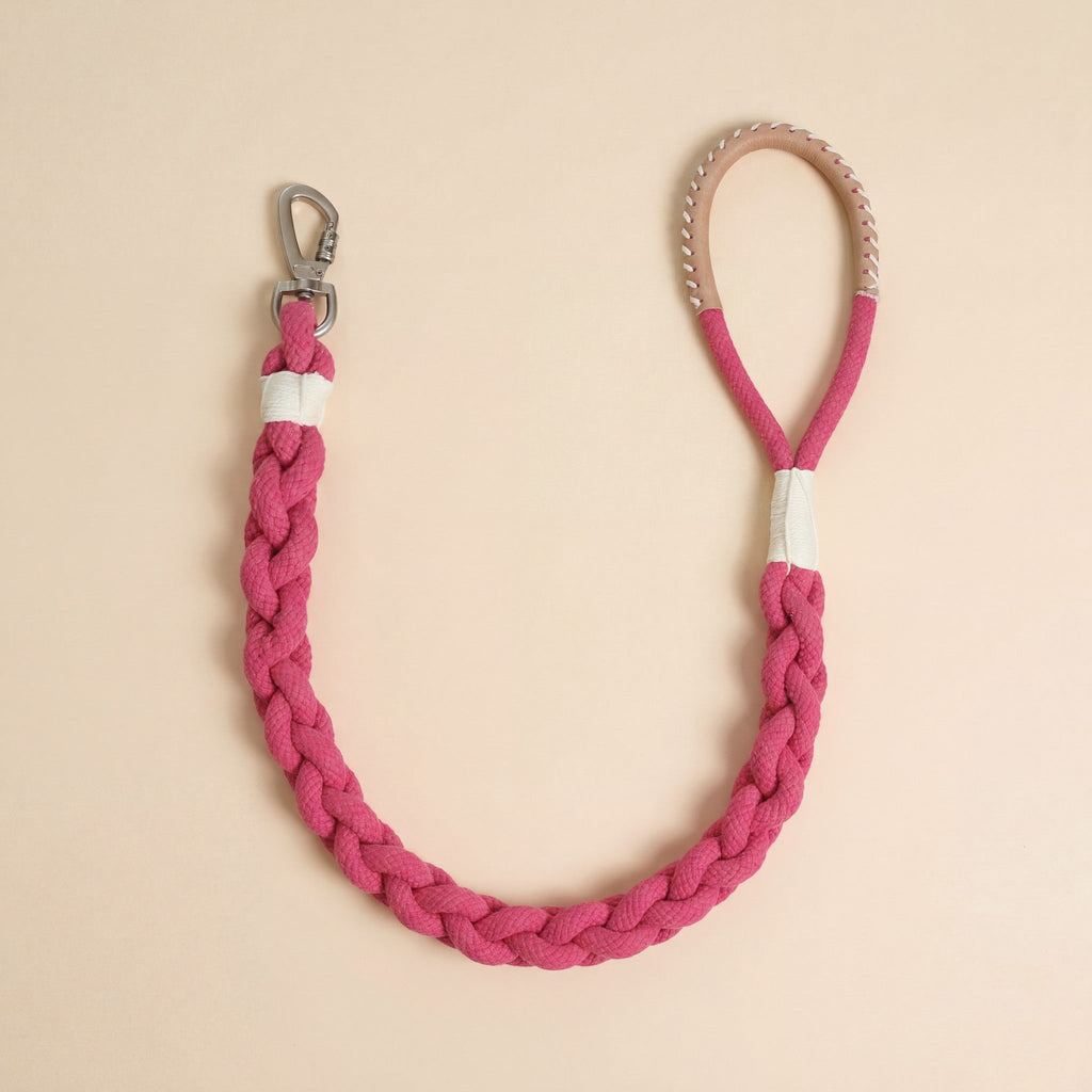 Xena Wanderlust Dog Leash Collection-10